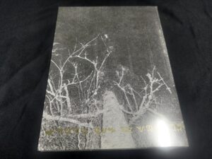 Mortiis — The Song Of A Long Forgotten Ghost