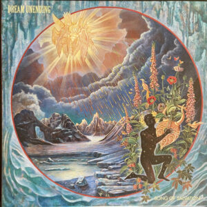 Dream Unending — Song Of Salvation [LP, purple/blood red splatter]