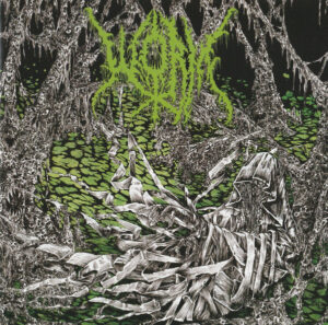 Worm — Gloomlord