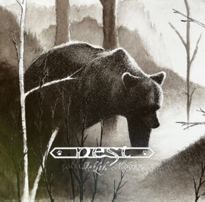 Nest — Fabled Lore / Hidden Stream