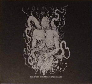 Blut Aus Nord — The Work Which Transforms God [LP, marbled]